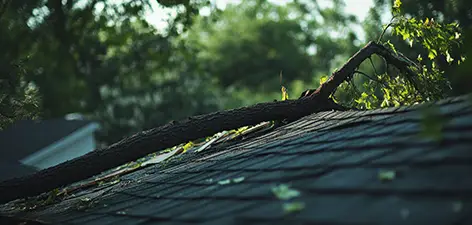 Tree & Debris Damaged Roof | RAFTRx Roofing + Exteriors