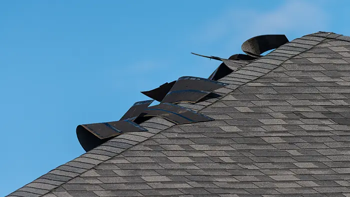 Wind damaged shingles lifted edge creased shingle | RAFTRx Roofing + Exteriors